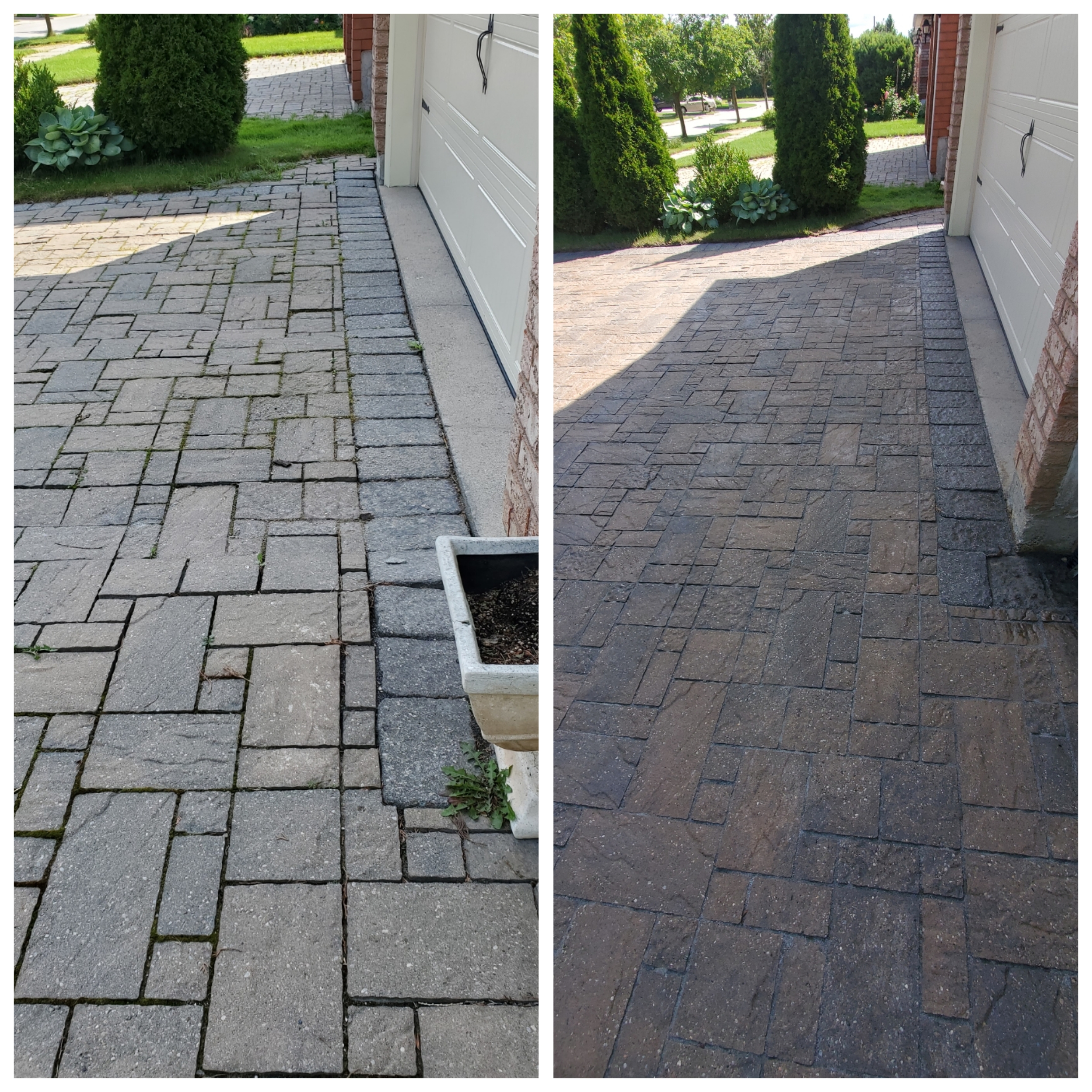 Driveway before and after cleaning
