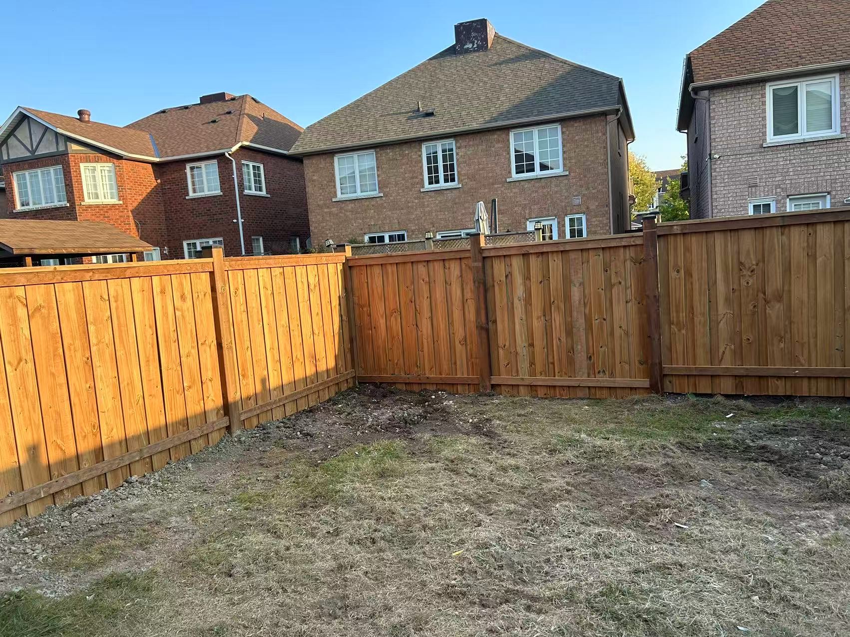 Freshly built cedar privacy fence enclosing full backyard — golden hour light